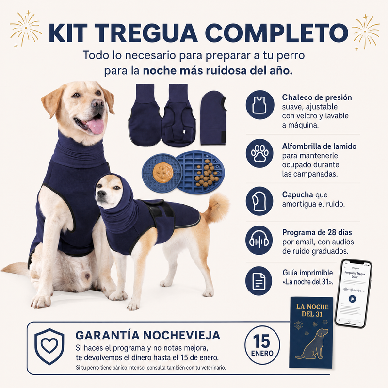 Kit Tregua Completo